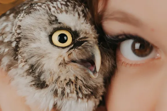 Cazino AllStar Slots Cazinou Suport